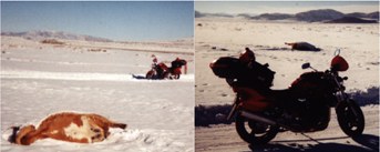 Hawke 2001 bandit 1200 Feb2002 Nevada Utah Idaho Salt Flats