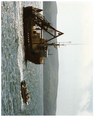 bodega bay boats 1995